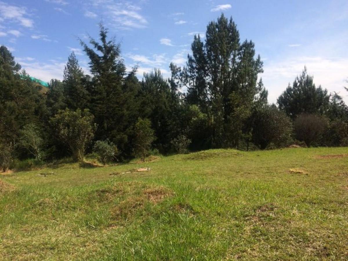 Grundstück in Antioquia, Colombia, Nr. 329