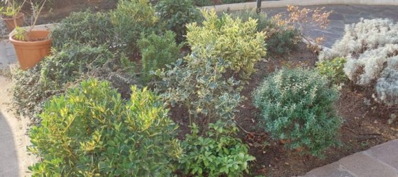 4-salle Appartement à Riccione, Italy No. 164590 3