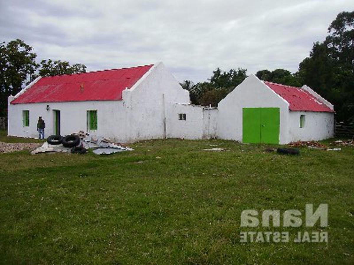 Farm in Maldonado, Uruguay No. 14698