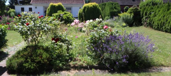 6 rooms House in Duchy of Lauenburg, Germany No. 312173 2