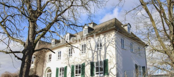 Вилла с 7 спальнями в Майнц-Бинген, Германия № 149809 13