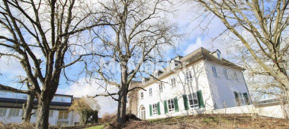 Вилла с 7 спальнями в Майнц-Бинген, Германия № 149809 14