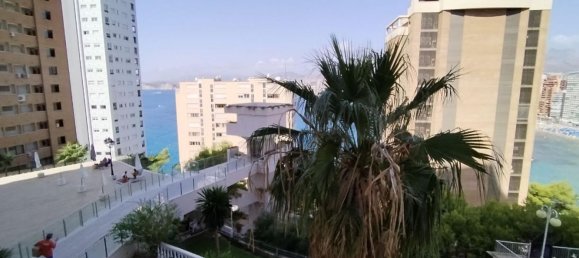 2 bedrooms Apartment in Benidorm, Spain No. 63916 6