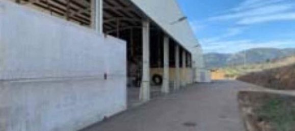 Almacén en Andalucía, Spain 2050 m² No. 186706 7