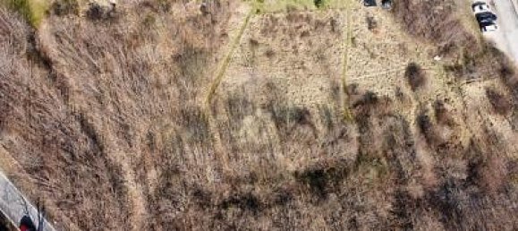 Terreno em Ilm-Kreis, Germany 10503 m² N.º 50167 8