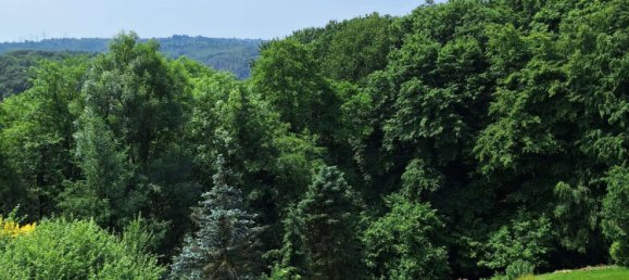 2 bedrooms Duplex in Wuppertal, Germany No. 271628 13