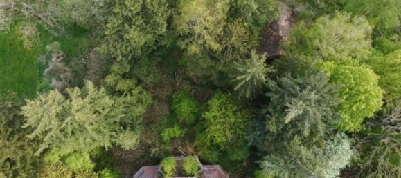 23 rooms Villa in Gorlitz, Germany No. 277580 5