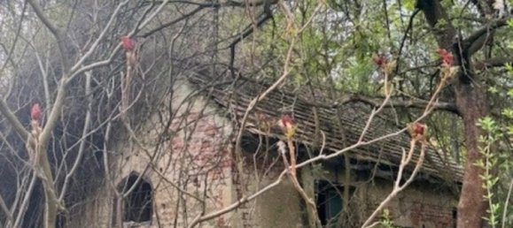 23 rooms Villa in Gorlitz, Germany No. 277580 9