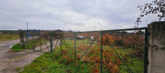 Entrepôt à Mangualde, Portugal 320m² No. 91740 5