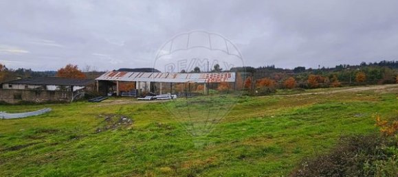 Entrepôt à Mangualde, Portugal 320m² No. 91740 3