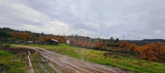 Entrepôt à Mangualde, Portugal 320m² No. 91740 4