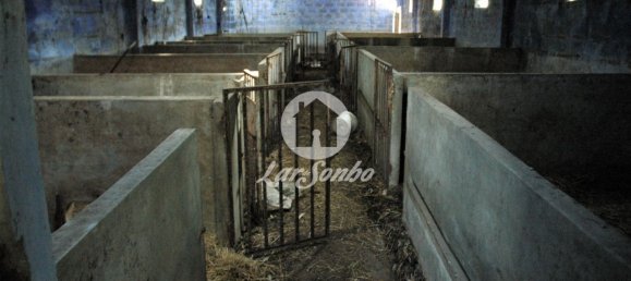 3 غرف نوم منزل في Vila Nova de Famalicao, Portugal رقم 61687 8