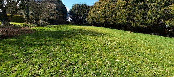 2 bedrooms House in Cotes-d'Armor, France No. 194499 6