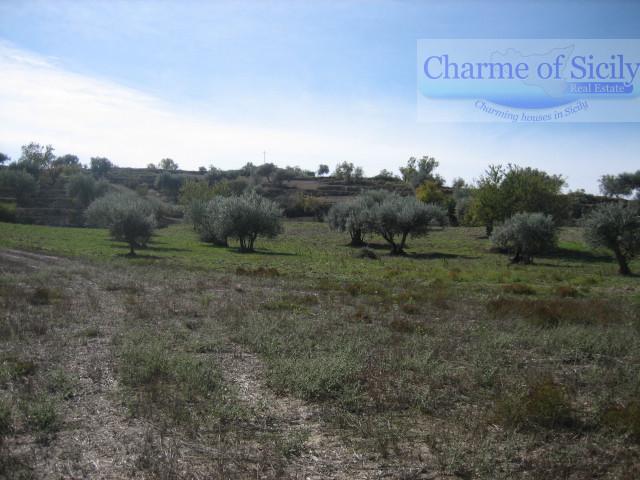 Studio in Ragusa, Italy No. 230706