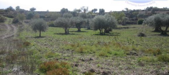 Studio in Ragusa, Italy No. 230706 7