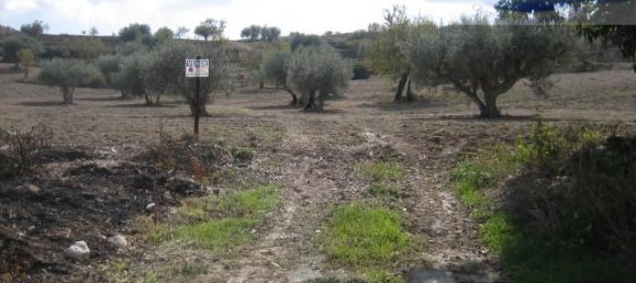 Studio in Ragusa, Italy No. 230706 12