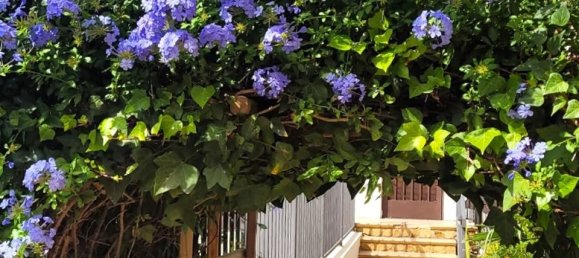 3 chambres Maison à Alicante, Spain No. 190475 8