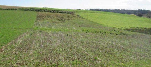  Land in Jennersdorf, Austria No. 22584 2