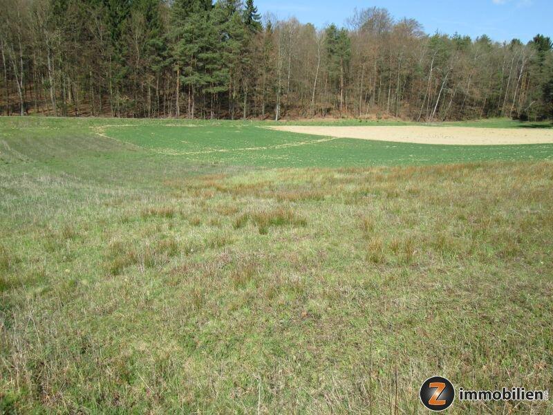  Land in Jennersdorf, Austria No. 22584