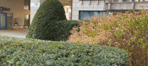 1 bedroom Apartment in Mitte, Germany No. 246472 2