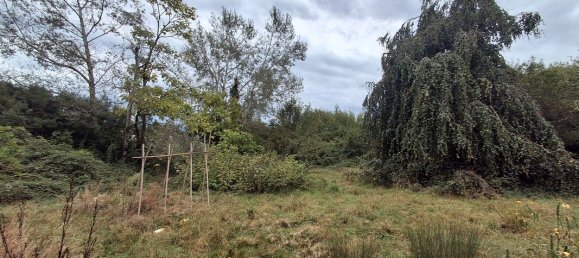 Grundstück in Jura, France, Nr. 340197 3