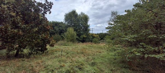 Grundstück in Jura, France, Nr. 340197 2