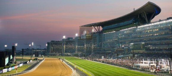 2508.4m² Land in Dubai, UAE No. 19912 8