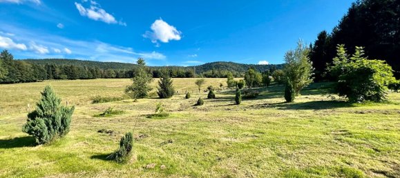 3 غرف نوم منزل في Raon-l'Etape, France رقم 261636 10