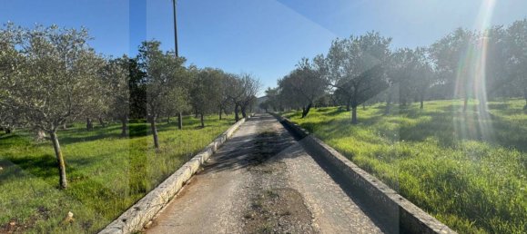 Вилла с 6 комнатами в Монополи, Италия № 20562 18