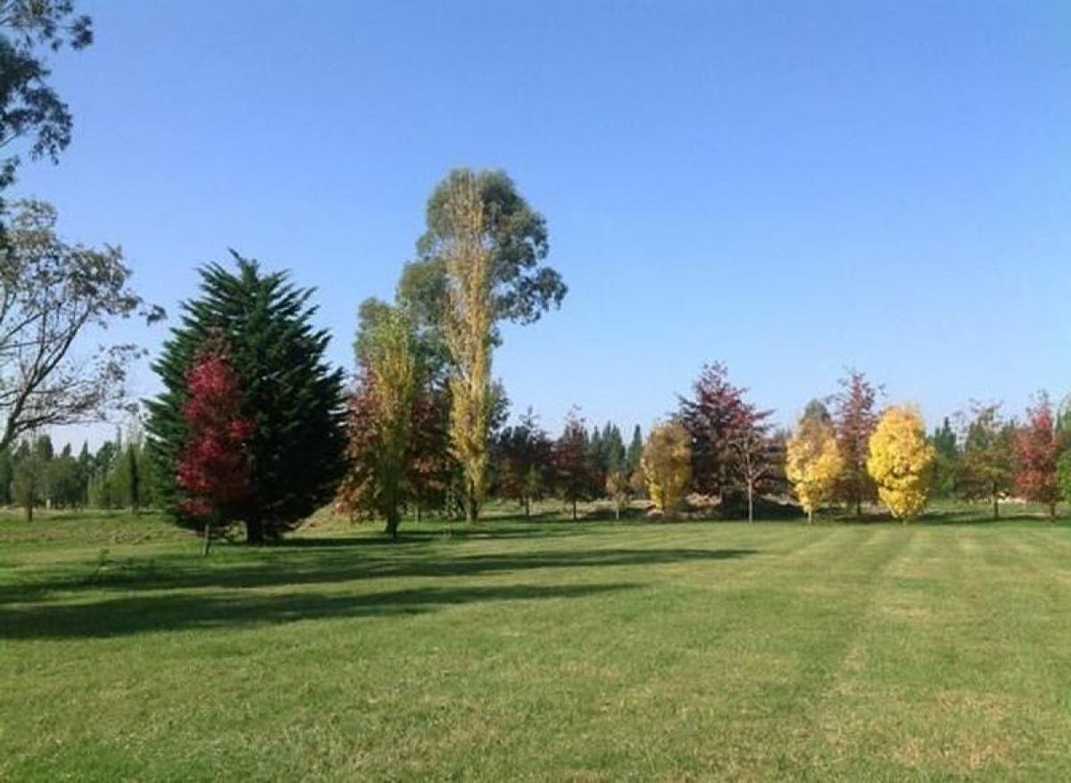Terreno en Campo Creado, Argentina No. 115818
