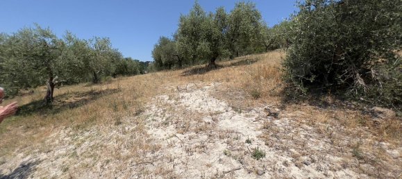 Terreno en Morlupo, Italy No. 67527 3