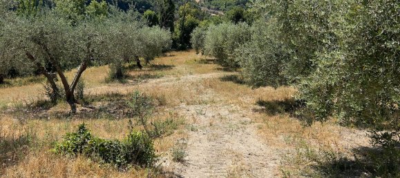 Terreno en Morlupo, Italy No. 67527 12