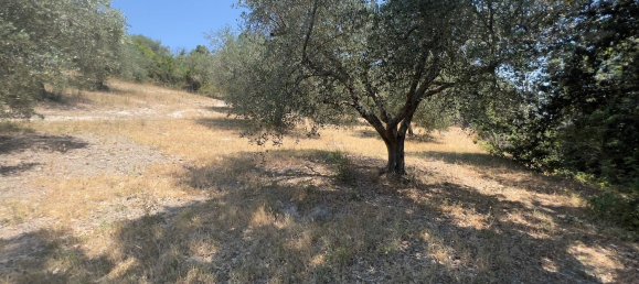 Terreno en Morlupo, Italy No. 67527 6