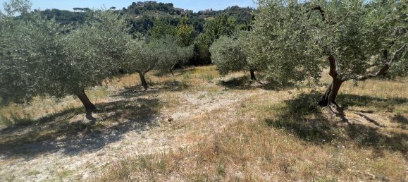 Terreno en Morlupo, Italy No. 67527 5