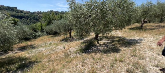 Terreno en Morlupo, Italy No. 67527 2