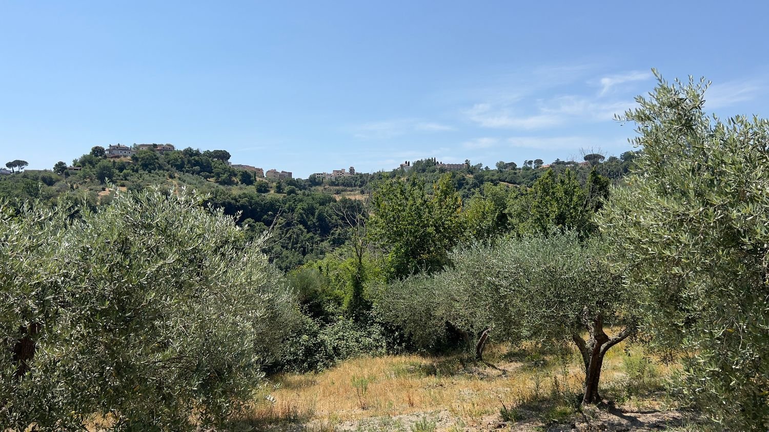 Terreno en Morlupo, Italy No. 67527