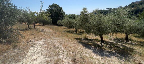 Terreno en Morlupo, Italy No. 67527 9