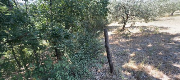 Terreno en Morlupo, Italy No. 67527 8