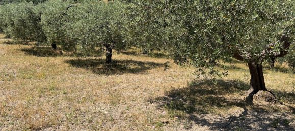 Terreno en Morlupo, Italy No. 67527 18