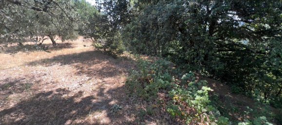 Terreno en Morlupo, Italy No. 67527 10