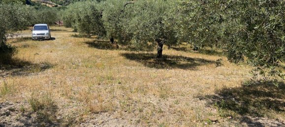 Terreno en Morlupo, Italy No. 67527 19