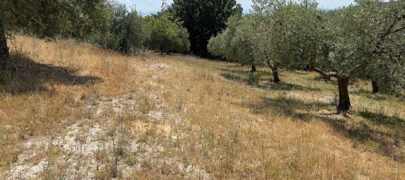 Terreno en Morlupo, Italy No. 67527 16