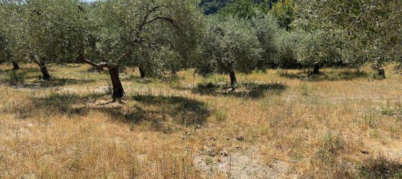 Terreno en Morlupo, Italy No. 67527 17