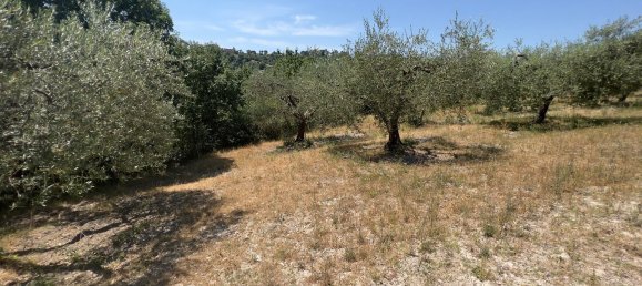 Terreno en Morlupo, Italy No. 67527 15