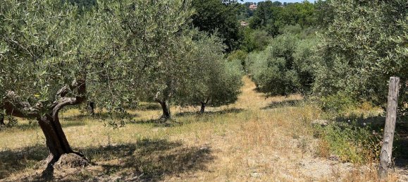 Terreno en Morlupo, Italy No. 67527 20