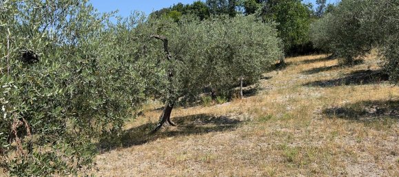 Terreno en Morlupo, Italy No. 67527 21