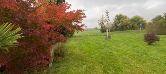 5-Zimmer Haus in Potsdam, Germany, Nr. 21109 4