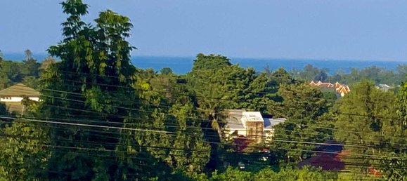 4 bedrooms Cafe / restaurant in Ko Samui, Thailand No. 24989 12