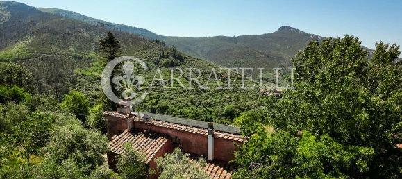 8 rooms House in San Giuliano Terme, Italy No. 196570 25