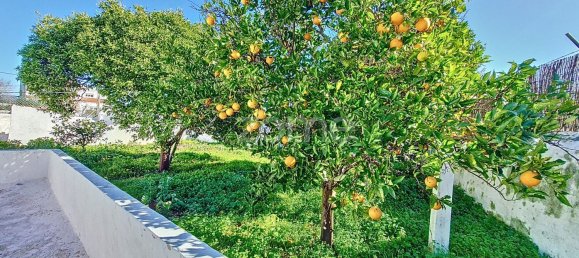 4 bedrooms House in Sao Bartolomeu de Messines, Portugal No. 76640 34